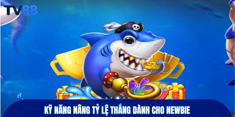 Kỹ năng nâng tỷ lệ thắng dành cho newbie