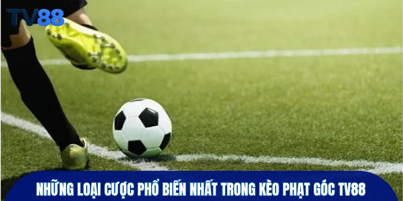 Những loại cược phổ biến nhất trong kèo phạt góc TV88