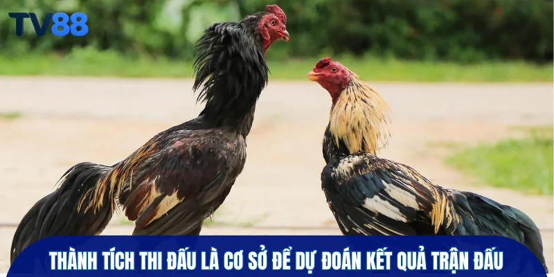 Thành tích thi đấu là cơ sở để dự đoán kết quả trận đấu